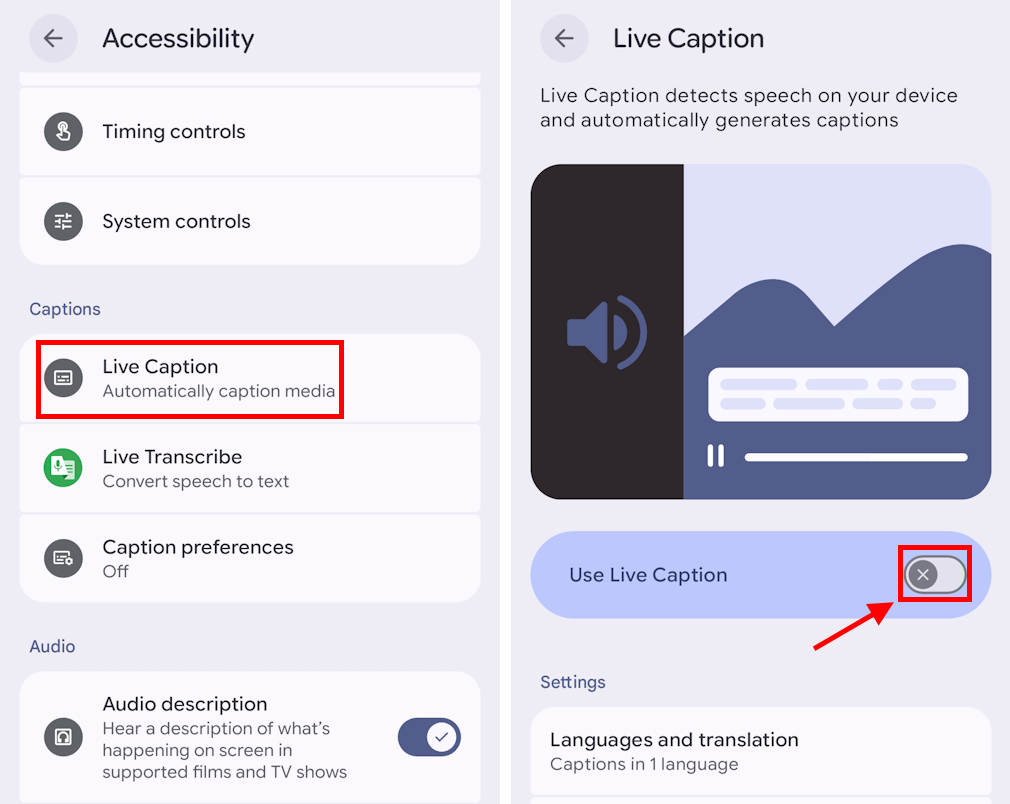 Tap Live Caption then tap the toggle switch for Use Live Caption